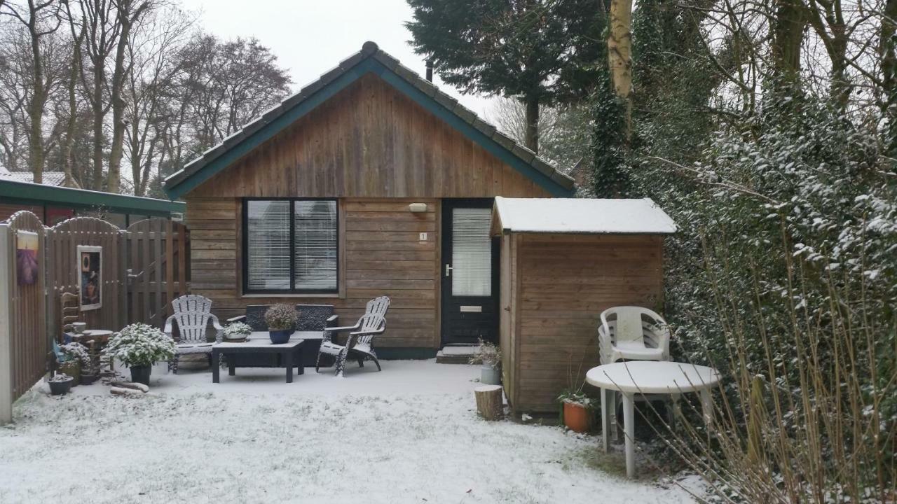 Vakantiehuis Duin Bos En Zee Schoorl Kültér fotó